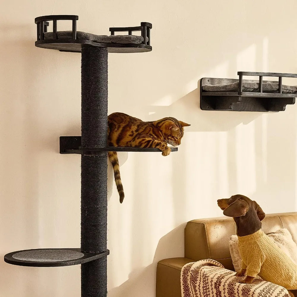 4 in 1 Cat Wall Shelves: Hammock, Bed, Perch & Scratching Mat, Wooden Wall-Mounted Furniture Set (Black)